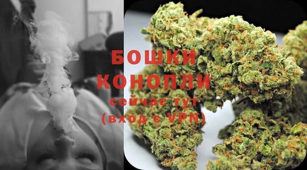 шишки Балахна