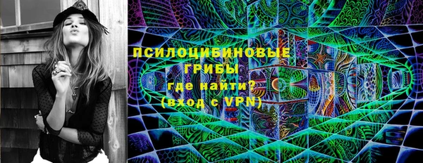 apvp Аркадак