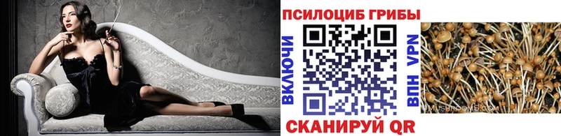 shop какой сайт MEGA Тайга где можно купить наркотик Псилоцибиновые грибы GOLDEN TEACHER